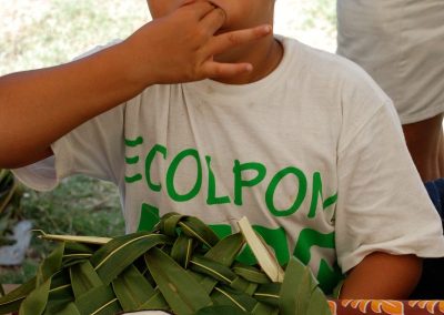 te-pu-atitia-ecolpom-126