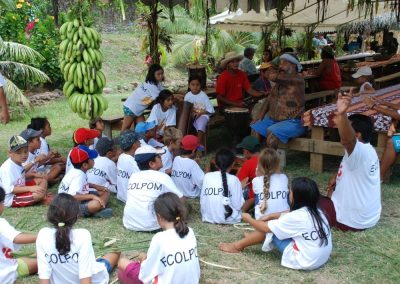 te-pu-atitia-ecolpom-16
