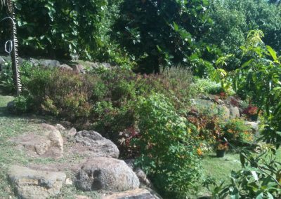 te-pu-atitia-jardin-centre-atitia-14