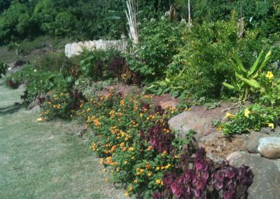 te-pu-atitia-jardin-centre-atitia-15