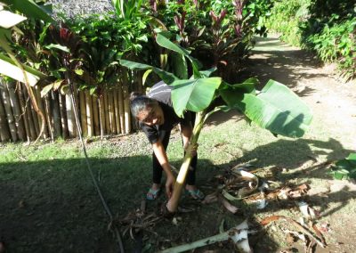 te-pu-atitia-jardin-centre-atitia-8