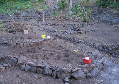 te-pu-atitia-jardin-du-centre-atitia-6