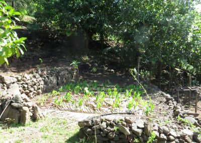 te-pu-atitia-sensibilisation-7